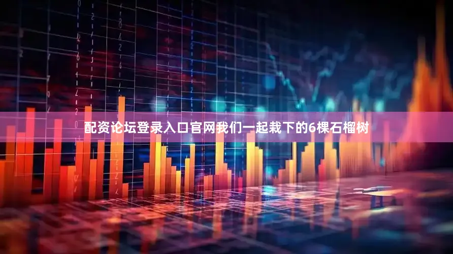 配资论坛登录入口官网我们一起栽下的6棵石榴树